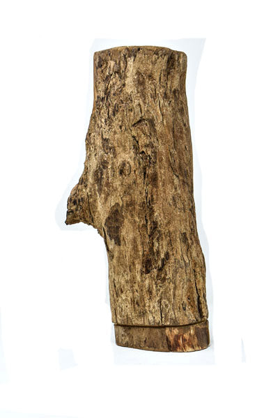 Mother and Child Abstract